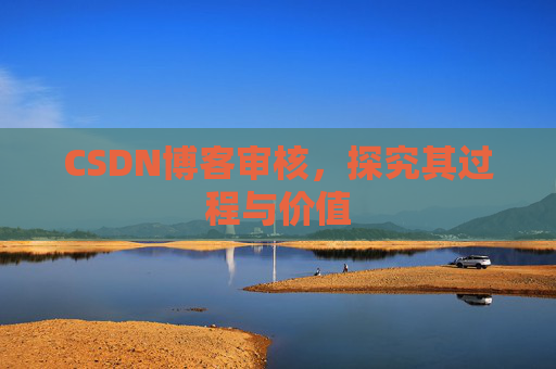 CSDN博客审核，探究其过程与价值
